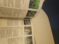 Treasury Of Gardening Hardcover Book 1994 576 Pages