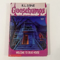 Vintage Goosebumps Book Lot of 13 R.L. Stine PB Horror Books Chapter Books Kids