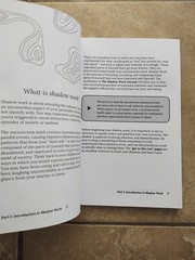 THE SHADOW WORK JOURNAL Guide Integrate & Transcend Your Shadows Self Help Book