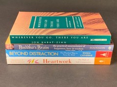 Mindfulness Meditation – Lot of 4 – Jon Kabat-Zinn, „Buddha’ Brain” – Softcover