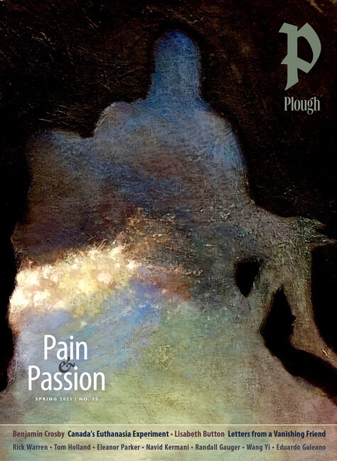 Plough Quarterly No 35 – Pain And Passion