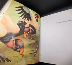 THE WORLD OF BIRDS By Roger Tory Peterson & James Fisher – Hardcover *Excellent*