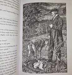 Andrew Lang Story Book Set: Rare Illustrated Children’s Books