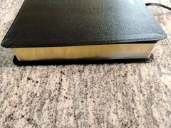 Black/Bonded Leather Bible Premium NRSV New Revised Standard Version Gilded edge