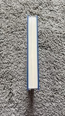 SEALED – The Frugal Wizard’s Handbook for Surviving Medieval England