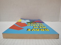 BRAVE NEW WORLD ORDER by Jack Nelson-Pallmeyer (1992, Pb) * FREE SHIPPING *