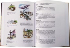 Casstrom Outdoors the Scandinavian Way 198 Pages Book Manual Wilderness Survival