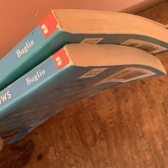 Dolphin Diaries Books 8 And 9, Ben M. Bagilo Scholastic Printing 2002 Lot Of 2
