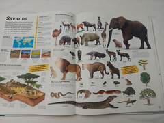 Picturepedia, Second Edition: An Encyclopedia on Every page