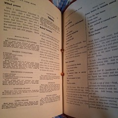 Vintage 1957 Aunt Mollie’s Shepherd Of The Hills Cookbook Ozark Food M. Trimble