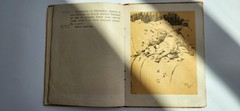 1935 Soviet Russian Children’s Book Bobkin Day Walter Emanuel Cecil Aldin USSR
