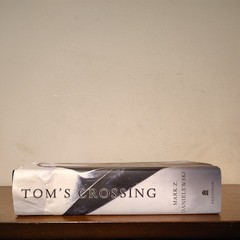 Tom’s Crossing A Novel by Mark Z. Danielewski First Edition Hardcover Damaged DJ