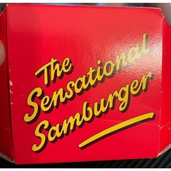 The Sensational Samburger by David Pelham 1995 Pop-Up Book Bug Worms Gross