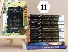 Lot of 11 A Wrinkle In Time by Madeleine L’Engle GUIDED READING Teachers Set