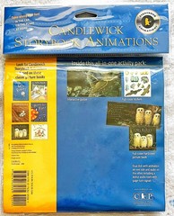 Owl🦉Babies📘Candlewick📀Storybook🥚Animations Book +DVD Martin Waddell FreeShip