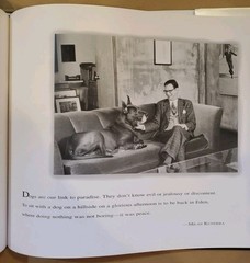 Guys And Dogs By Laurie Schneider