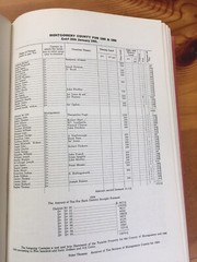 Early Tax Records of Georgia 1926 174 Pages Hard Back Book