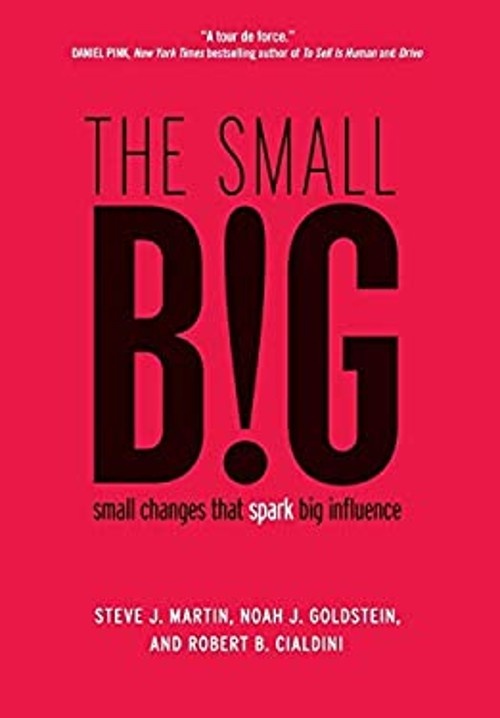 The Small BIG : Small Changes That Spark Big Influence Hardcover