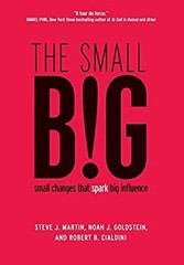The Small BIG : Small Changes That Spark Big Influence Hardcover
