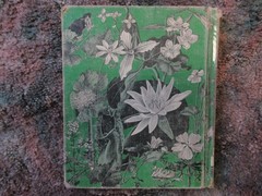 The First Book of Wild Flowers (1961) by Betty Cavanna Pictures Page Cary HC