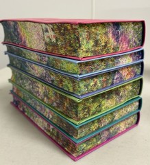 Jane Austen 6 Book Faux Leather Bound Set with Decorative Pages LIKE New