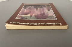 TWO CENTURIES of BLACK African AMERICAN ART David Driskell LACMA Catalog 1976