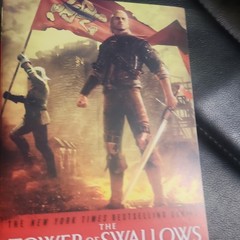 Andrzej Sapkowski The Tower of Swallows (The Witcher) Paperback English