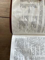 Holy Bible Book of Mormon Doctrine and Covenants Pearl of Great Price Indexed