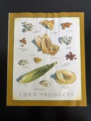 Lot of 6 Cook’s Illustrated Magazine Issues. Late 2010s