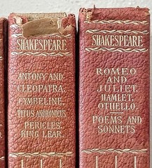 Antique 8‑Volume Shakespeare Works Set Leather‑Bound Gold Embossed 1900s Vintage