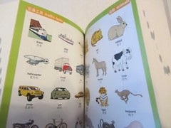 Book – English Chinese Dictionary for Primary School Students 504 pages, 4″x5.5″