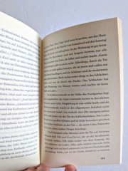 Ernst Haffner – Blutsbruder – Aufbau Taschenbuch, PB, GC+
