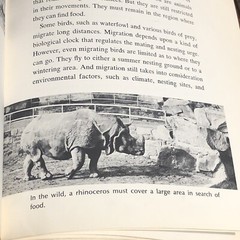 ‘OUR CAPTIVE ANIMALS’- J.J. McCOY-1971-RARE 1ST EDITION HC/DJ- EXOTIC & DOMESTIC