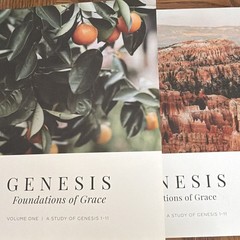 Genesis: Foundations of Grace Vol 1 Joanna Kimbrel PB Illus