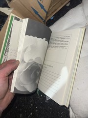 Keeping a Spiritual Journal with Thomas Merton : A Personal Book