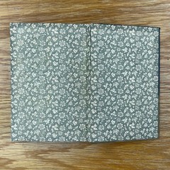 Vintage 1899 Prue And I George William Curtis Softcover Book
