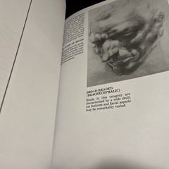 Drawing the Human Head by Burne Hogarth (1989, Library Binding) HB New