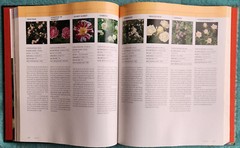 The Illustrated A To Z Encyclopedia Of Garden Plants Massive Hardcover 544 Pages