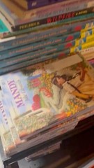 Lot of 30 RANDOM YOUTH Kids Chapter Books Instant Library Bundle