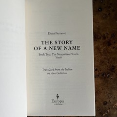 Elena Ferrante Neapolitan Novels—Complete Set, 4 Books—Europa Editions
