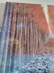 Ernst Haas Color Photography by Ernst Haas 1989 Abrams Fine Art Book HC DJ