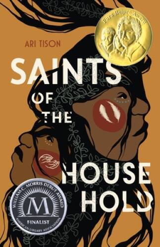 Saints of the Household – Hardcover By Tison, Ari – GOOD
