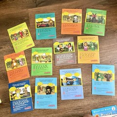 Large Lot Pre Reader & Phonics Book Lot Biscuit I Can Read LEGO Animal Phonics
