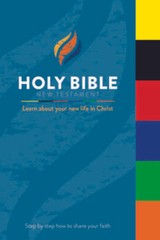 Time to Revive Gospel-Tabbed New Testament Bible (English Edition) – GOOD