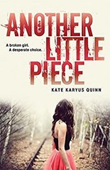 Another Little Piece Hardcover Kate Karyus Quinn
