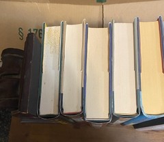 John Sandford Virgil Flowers Lot
