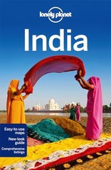 Lonely Planet India (Travel Guide) by McCrohan, Daniel Book The Fast Free
