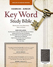 The Hebrew-Greek Key Word Study Bible: ESV Edition, Black Bonded .. Like New