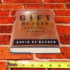 The Gift of Fear Survival Signals Protect Us From Violence Gavin de Becker