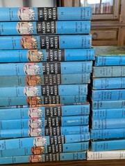 The Hardy Boys Matte Covers 1930’s-1970’s Huge Lot Of 38- No Duplicates Good